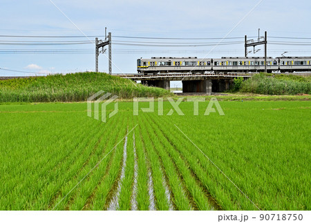 鉄道　私鉄：東武日光線　20000系改造 20400型　21446F(新栃木) 90718750