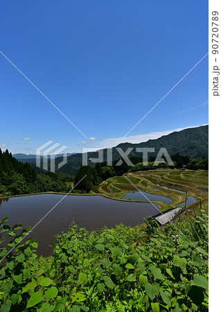 うへ山の棚田より うへ山の棚田より 90720789