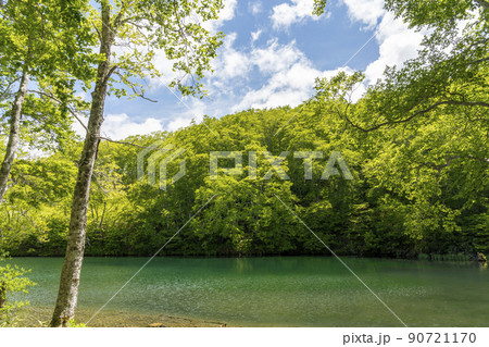初夏のドッコ沼 新緑の風景 山形県山形市 初夏のドッコ沼 新緑の風景 山形県山形市 90721170