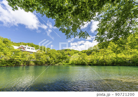 初夏のドッコ沼　新緑の風景　山形県山形市　　 90721200