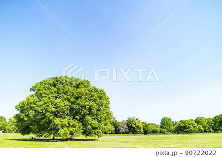 緑と青空の広がる風景 90722022