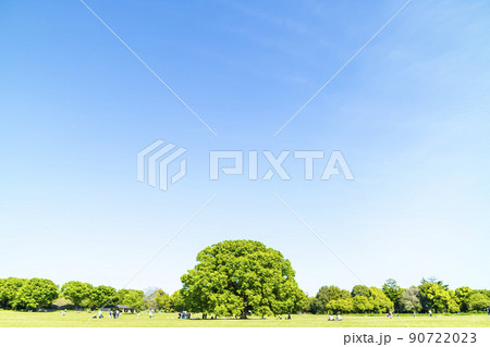 緑と青空の広がる風景 90722023