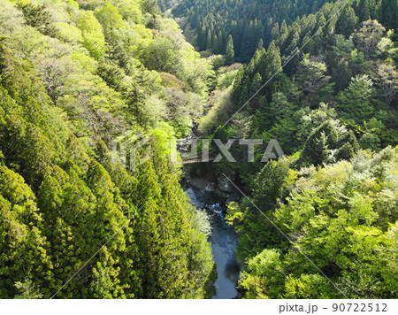徳島県三好市 奥祖谷二重かずら橋の風景 徳島県三好市 奥祖谷二重かずら橋の風景 90722512