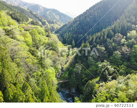 徳島県三好市 奥祖谷二重かずら橋の風景 徳島県三好市 奥祖谷二重かずら橋の風景 90722513