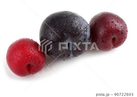 Red and black plums Red and black plums 90722603