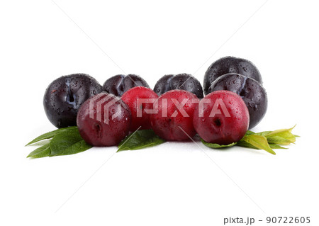 Plums and leaves Plums and leaves 90722605