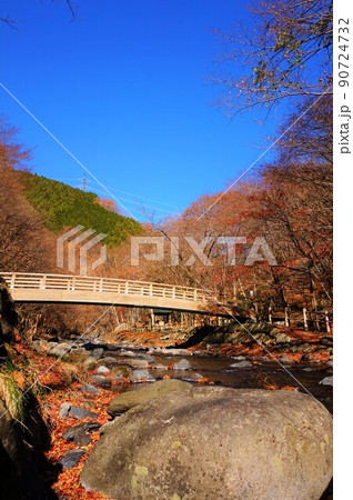 源太橋 小中川 紅葉 源太橋 小中川 紅葉 90724732