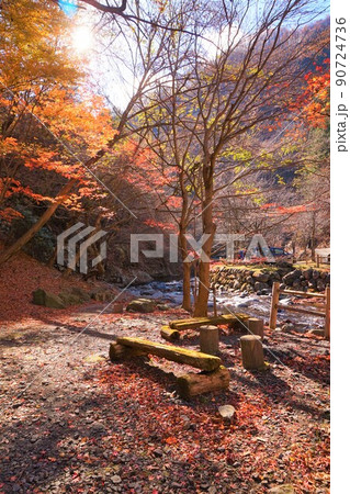 源太橋 小中川 紅葉 源太橋 小中川 紅葉 90724736