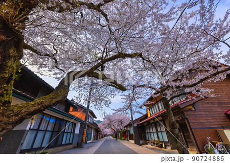 がいせん桜通り(岡山県真庭郡新庄村上町) がいせん桜通り(岡山県真庭郡新庄村上町) 90724886
