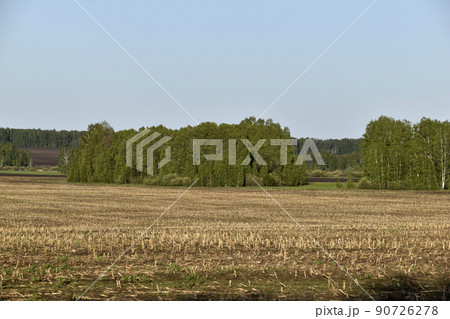 Agricultural field and forest against the sky Agricultural field and forest against the sky 90726278