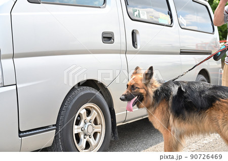 飼い主の男性とキャンピングカーライフ　ジャーマンシェパード 90726469