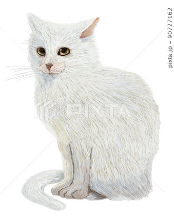 白猫横向き 縦のイラスト素材