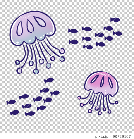 クラゲと魚群 90729167