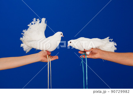 Two white doves in hand on a blue background 90729982