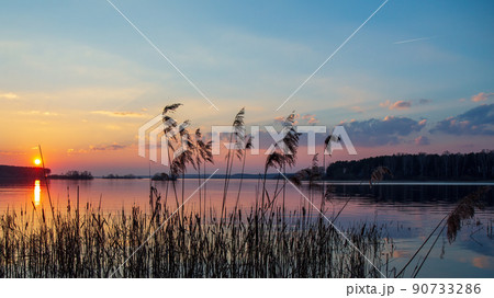 Peaceful sunset on shore of large lake in pink tones. Sun, clouds, forest on horizon, soft colors 90733286