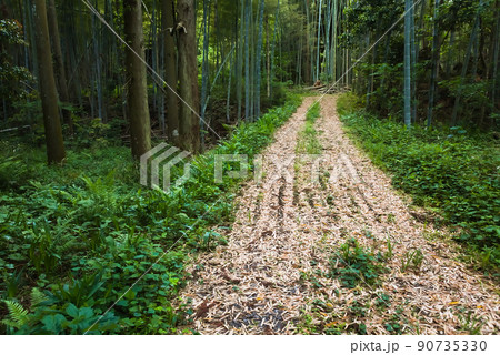 山道 山道 90735330