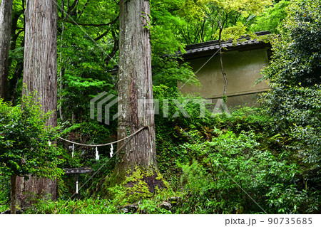 岩瀧寺より 岩瀧寺より 90735685