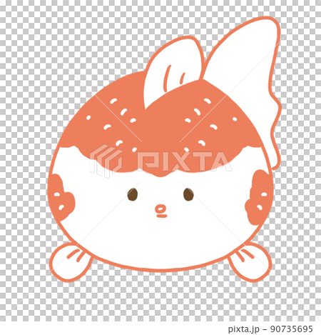 金魚　ピンポンパール　正面　単体 90735695