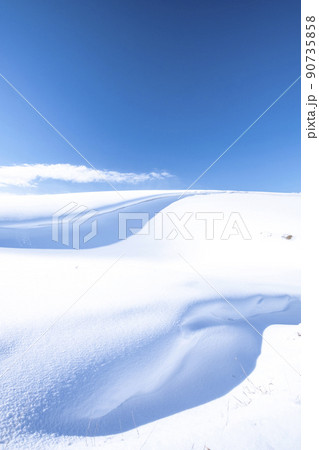雪の造形　（鳥取砂丘） 90735858