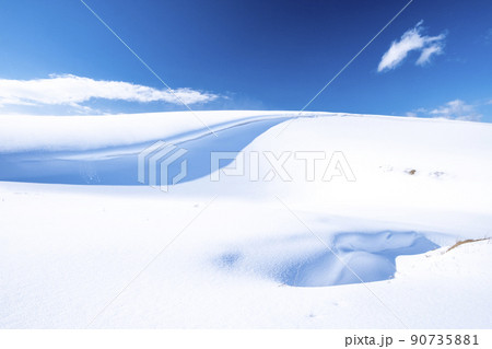 雪の造形 (鳥取砂丘) 雪の造形 (鳥取砂丘) 90735881