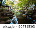 馬橋公園の池の鯉 90736593