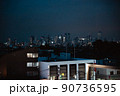 永福の屋上庭園から新宿ビル群 90736595