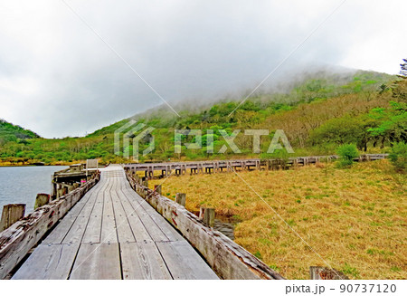 朝の湿原　覚満淵 90737120