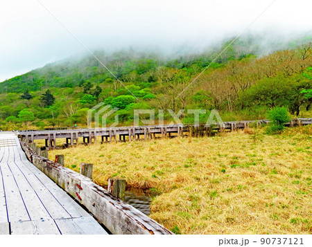 朝の湿原 覚満淵 朝の湿原 覚満淵 90737121