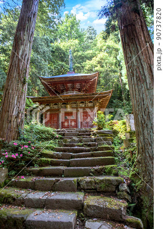 長谷寺五智堂(縦) 長谷寺五智堂(縦) 90737820