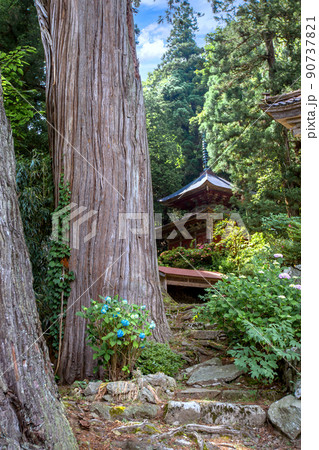 三本杉と五智堂（縦） 90737821