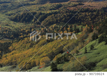 渋峠からの芳ヶ平湿原の紅葉の風景 90739024
