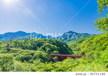 （山梨県）新緑の八ヶ岳連峰　東沢橋 90741186