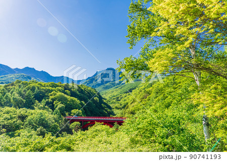 （山梨県）新緑の八ヶ岳連峰　東沢橋 90741193