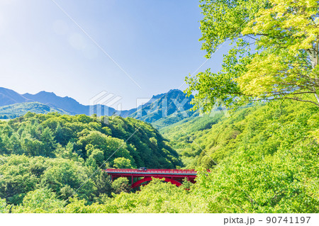 (山梨県)新緑の八ヶ岳連峰 東沢橋 (山梨県)新緑の八ヶ岳連峰 東沢橋 90741197