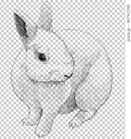 ウサギのモノクロペン画イラスト 90741598