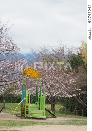公園の遊具と桜 公園の遊具と桜 90742044