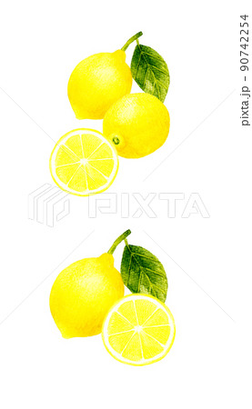 レモンの果実のイラストセット フルーツの手描き水彩イラスト素材集のイラスト素材