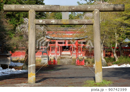 青森県弘前市高岡 鳥居越しに国指定重要文化財の高照神社随神門と拝殿 青森県弘前市高岡 鳥居越しに国指定重要文化財の高照神社随神門と拝殿 90742399