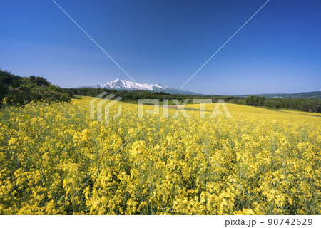 秋田県 鳥海山 秋田県 鳥海山 90742629