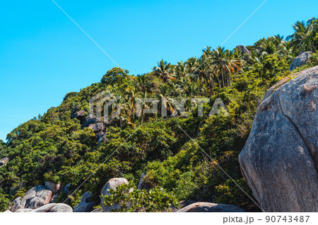 View of the bay and rocks on the island,Shark Bay Koh Tao View of the bay and rocks on the island,Shark Bay Koh Tao 90743487