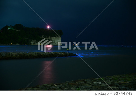 夜光虫 90744745