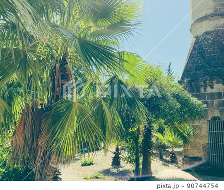 tropical, green plants in a hot country. palm trees with long, green leaves. trees with thick trunks, next to the palm trees - a brick, gray building tropical, green plants in a hot country. palm trees with long, green leaves. trees with thick trunks, next to the palm trees - a brick, gray building 90744754