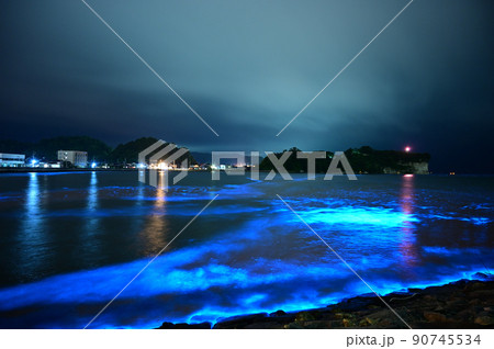 幻想的に光り輝く夜光虫 幻想的に光り輝く夜光虫 90745534