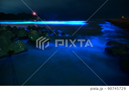 幻想的に光り輝く夜光虫 幻想的に光り輝く夜光虫 90745729