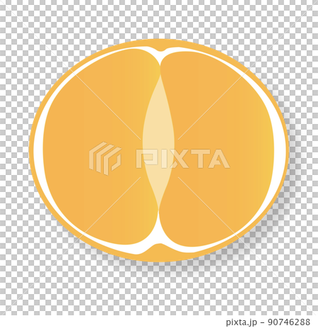 みかんのイラスト	 90746288