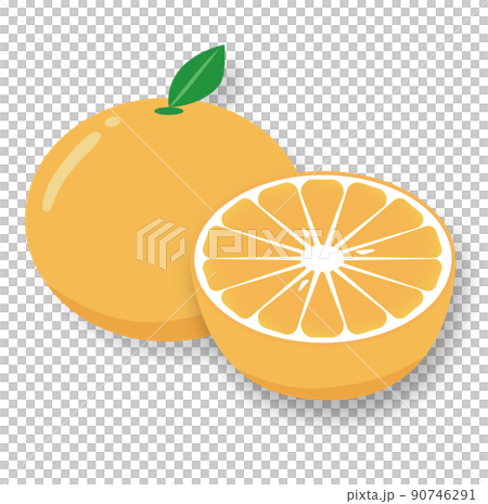 みかんのイラスト	 90746291