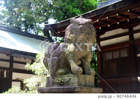 岡崎神社拝殿と狛犬-3 岡崎神社拝殿と狛犬-3 90746404