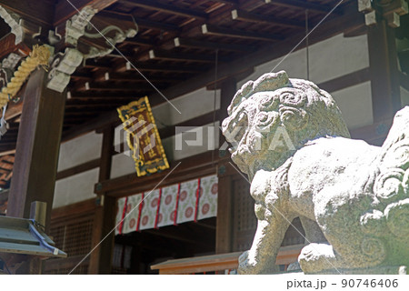岡崎神社拝殿と狛犬-1 90746406