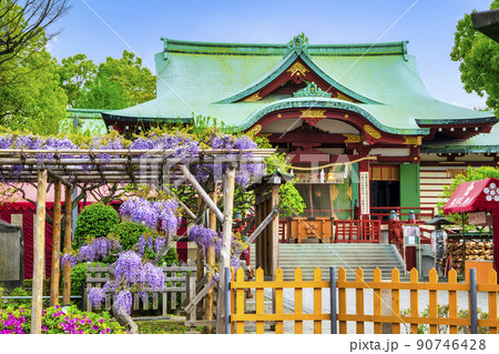 東京都 江東区 亀戸天神社 本殿 東京都 江東区 亀戸天神社 本殿 90746428