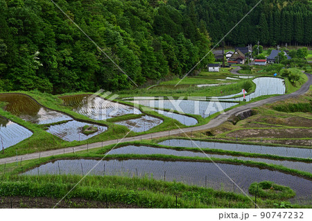 毛原の棚田より 毛原の棚田より 90747232